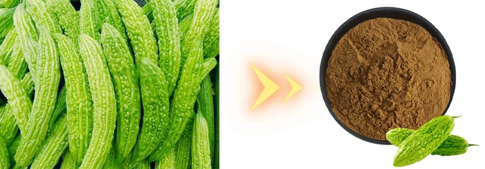 Bitter-gourd-extract
