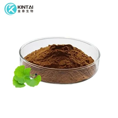 Ginkgo Biloba Folium-Extrakt