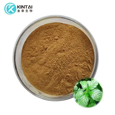 Gynostemma-Extrakt-Pulver