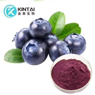 Blueberry Anthocyanins