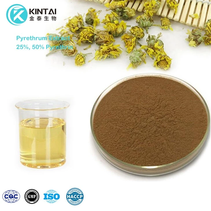 Pyethrins Powder 25%